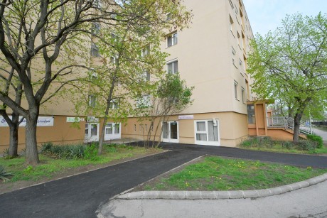 Hétszáz négyzetméternyi járda újult meg a Palotavárosban